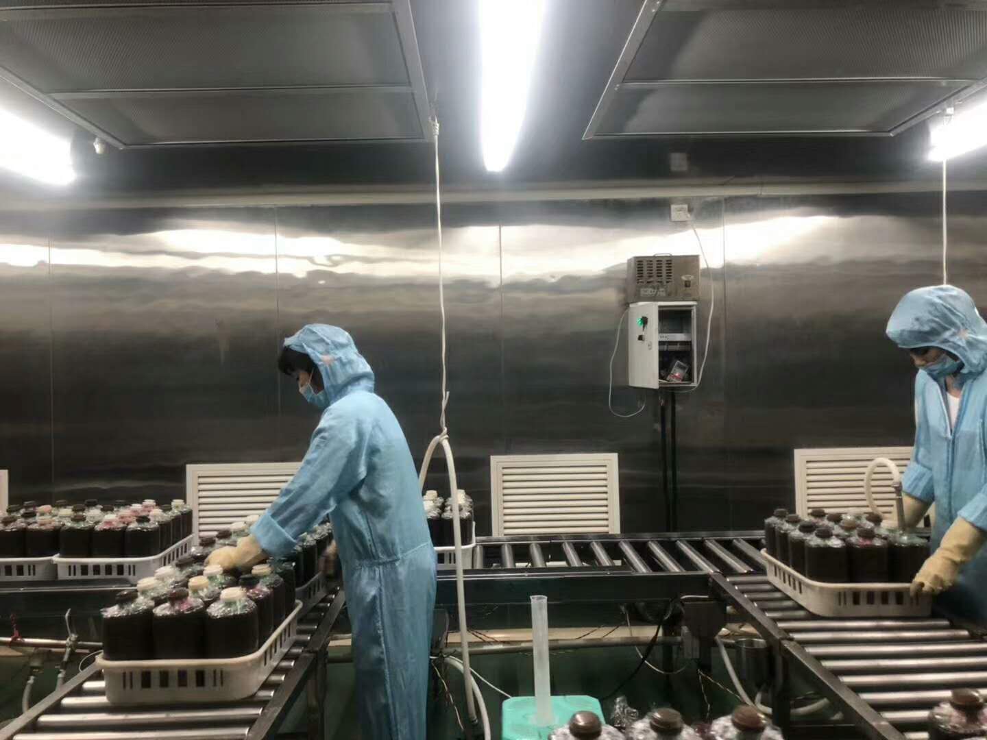 食用菌包装车间净化案例
